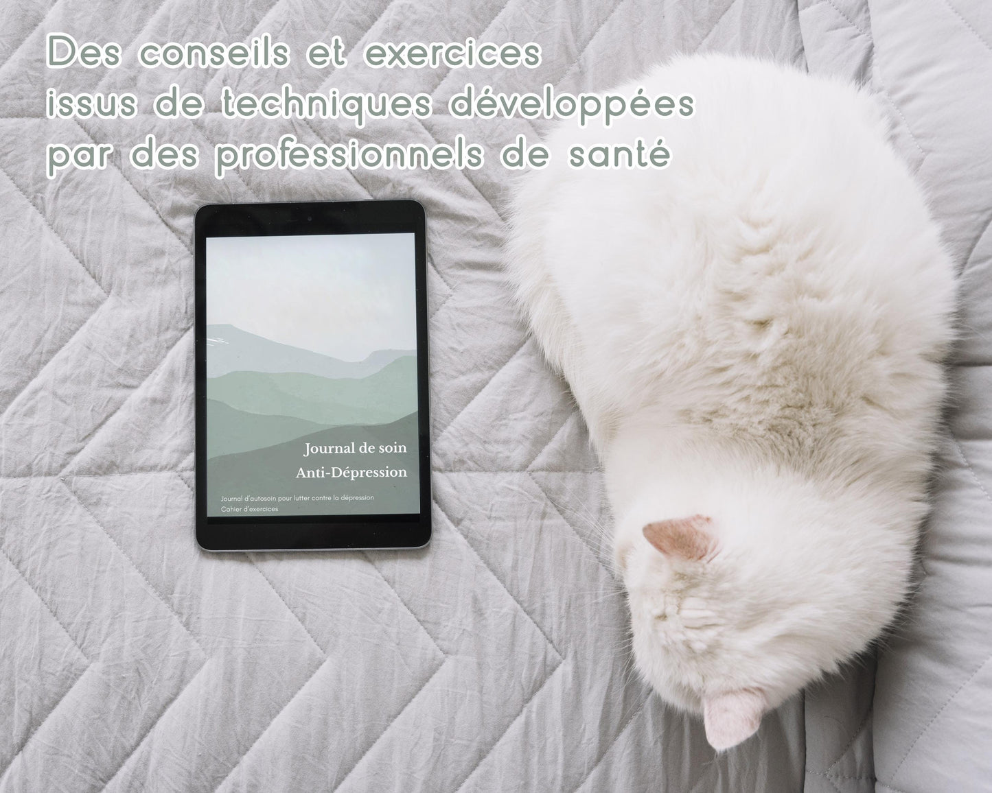 Journal d'autosoin anti dépression, PDF imprimable