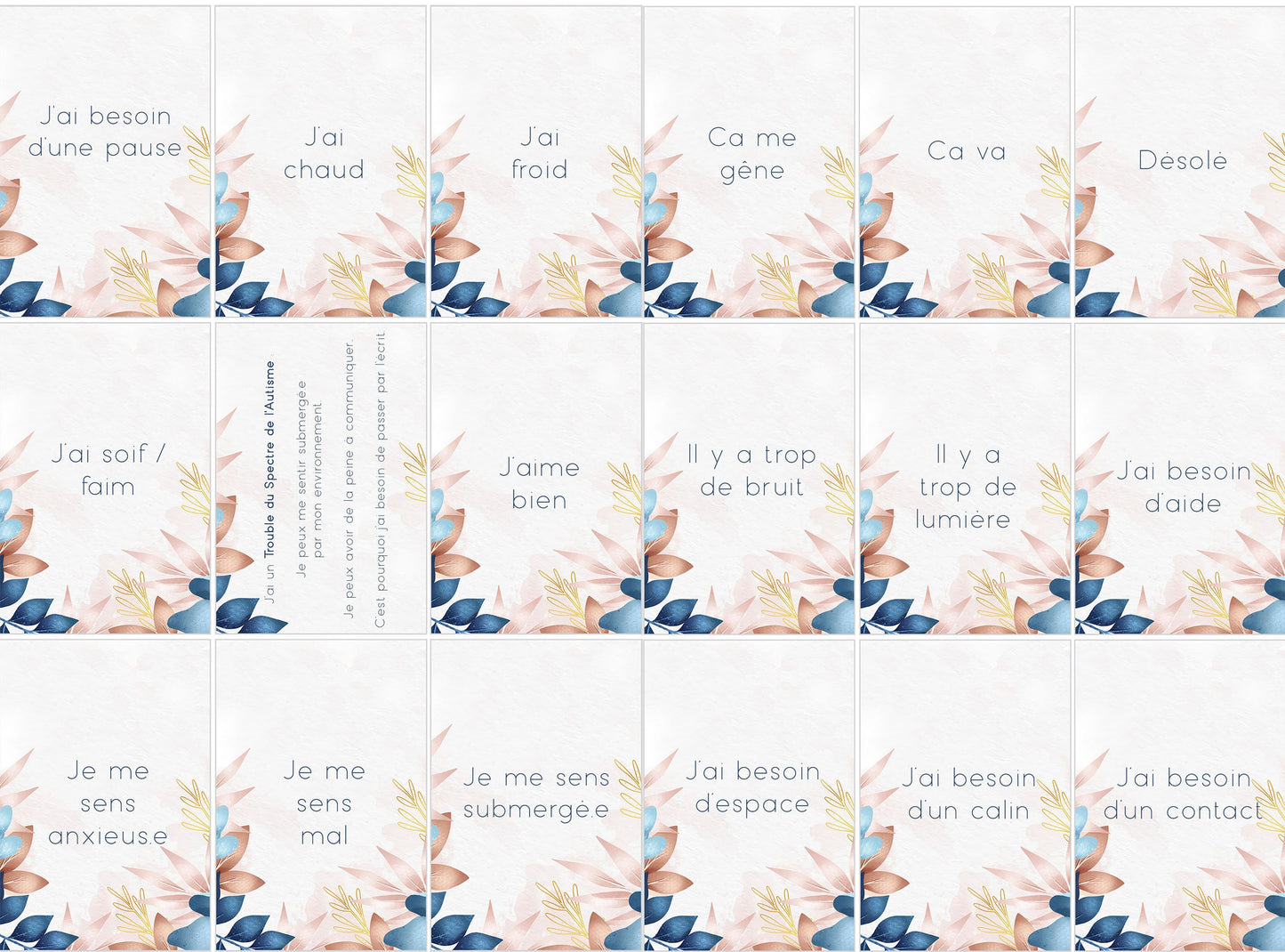 Cartes de communication pour adulte autiste non-verbal